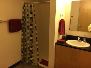 Vacation Apartment for 10 Guests in Minneapolis, Twin Cities, Picture 2