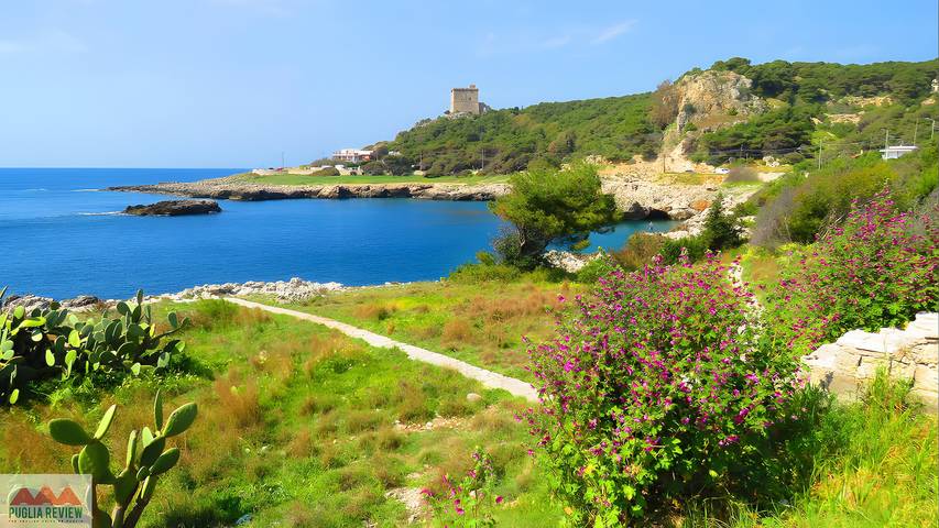 Chambre d’hôte pour 2 personnes, avec jardin, animaux acceptés à Nardò - 4