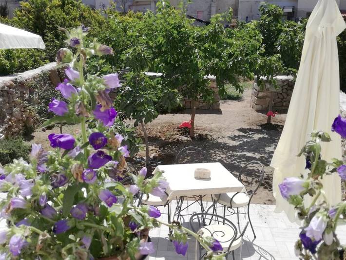 Gîte pour 2 personnes, avec jardin à Favignana - 4