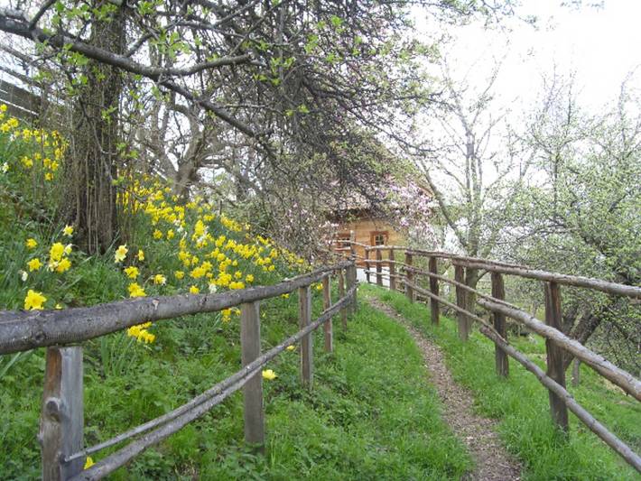 Ferienhaus für 8 Personen, mit Balkon und Garten in Niederösterreich - 2