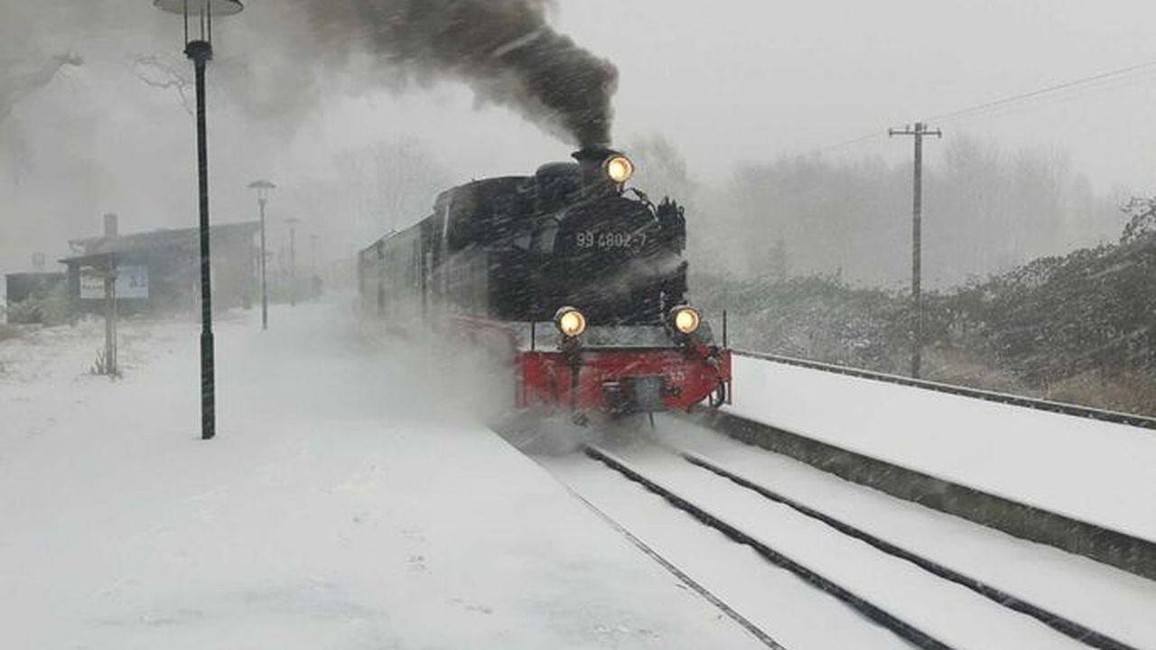 Ganze Ferienwohnung, Ferienwohnung für 3 Personen (36 m²) in Polchow in Polchow, Glowe