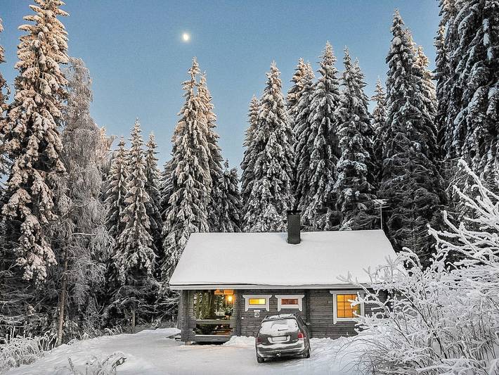 Ferienhaus für 10 Personen, mit Sauna, mit Haustier - 1