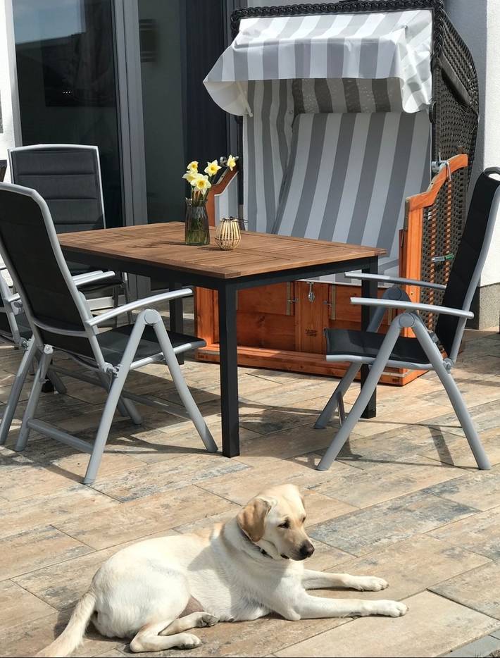 Ferienhaus für 6 Personen, mit Garten und Sauna, mit Haustier in Presen - 3