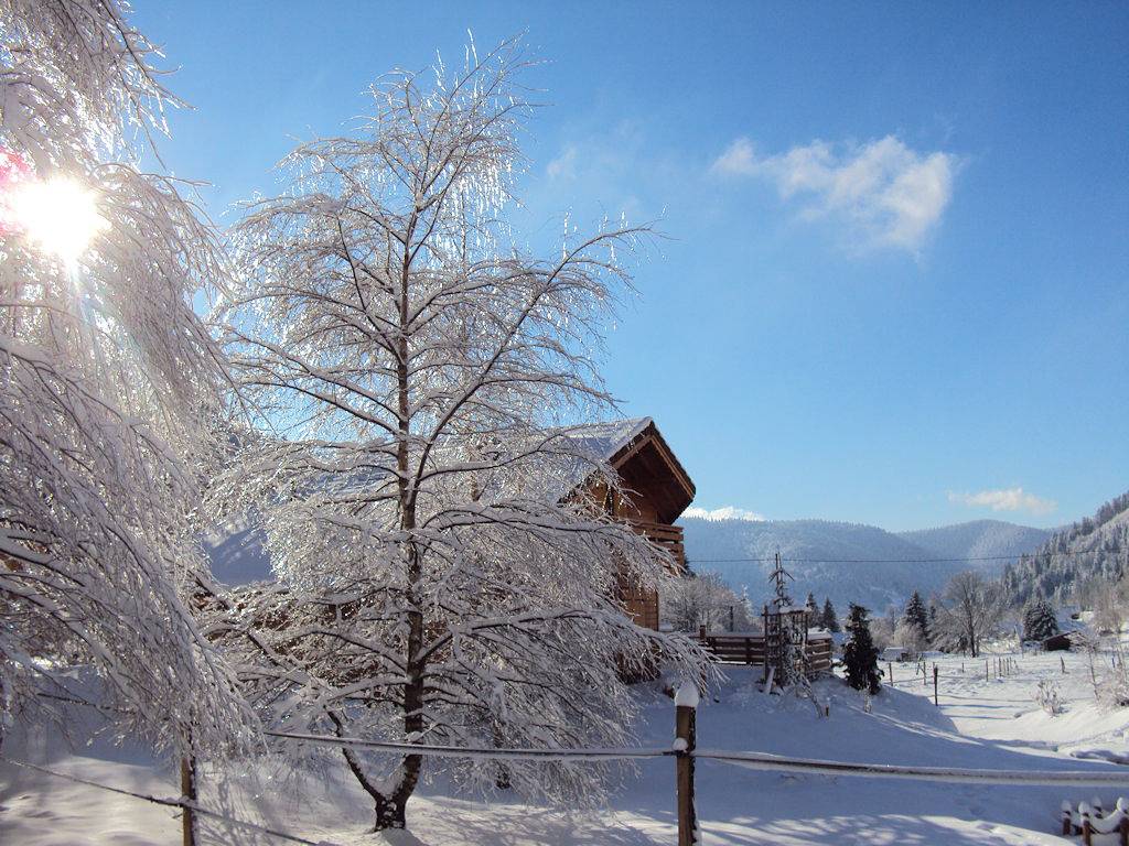 Le Chalet de Philippe in La Bresse, Parc naturel régional des Ballons des Vosges