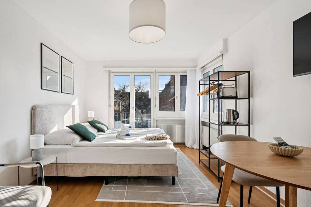 Ganze Wohnung, City studio in Zürich, Bezirk Zürich