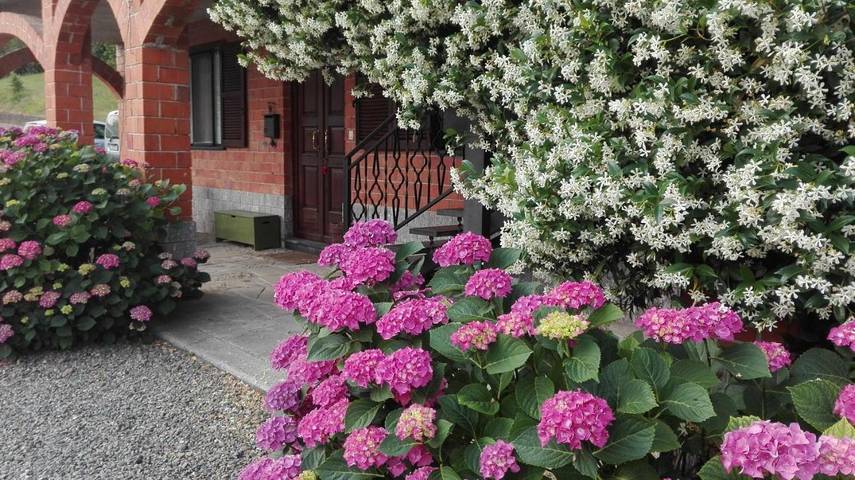 Gîte pour 4 personnes, avec vue et jardin, animaux acceptés à Acqui Terme - 4