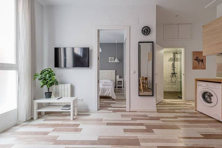 Vacation rental for 4 people in Madrid