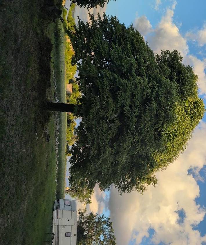 Camping pour 4 personnes, avec Jardin