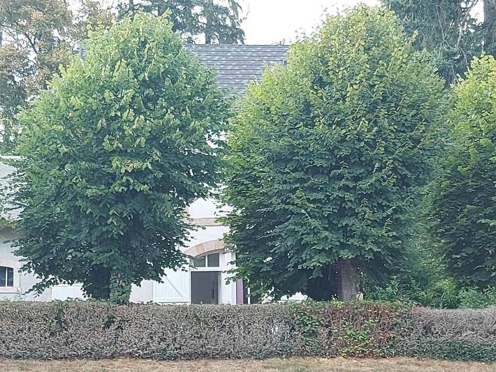 Maison d’hôte pour 5 personnes, avec jardin et vue dans Allier - 3