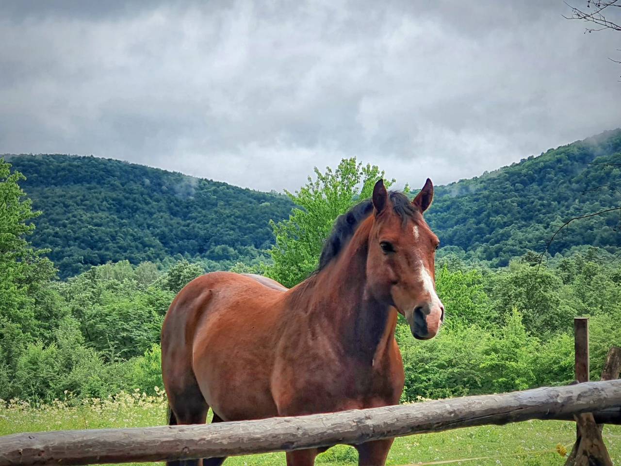 Neu! Zimmer D&amp;A in der Nähe des Nationalparks Plitvicer Seen in Karlovac und Umgebung