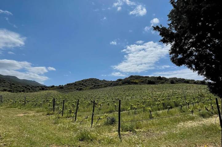 Bungalow pour 4 personnes, animaux acceptés dans Sud Sardaigne