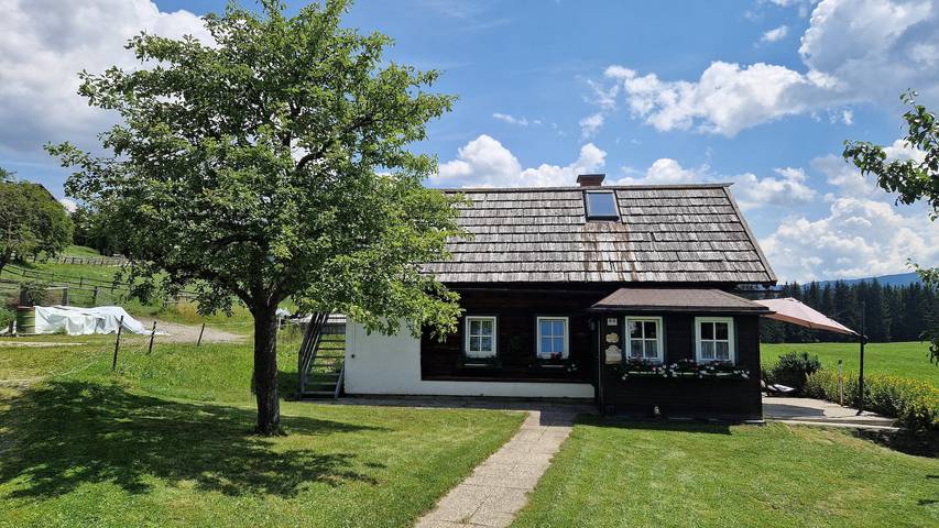 Ferienwohnung für 8 Personen, mit Balkon im Lungau - 3