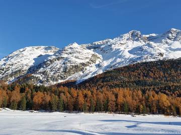 Village vacances pour 4 personnes, avec piscine et jardin ainsi que sauna et balcon dans les Alpes