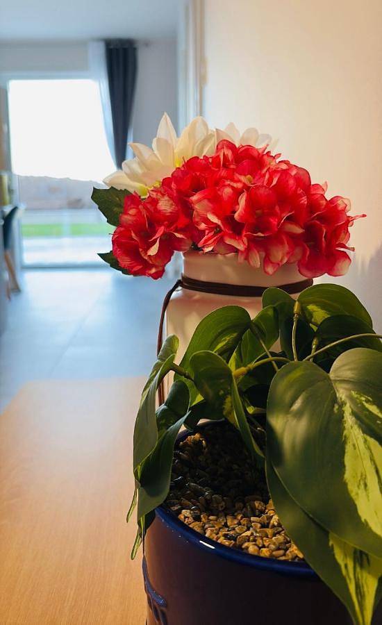 Location de vacances pour 3 personnes, avec jacuzzi et jardin à Wickerschwihr - 4