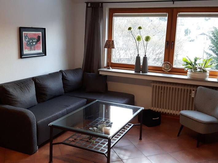 Ferienhaus für 4 Personen, mit Terrasse in Olsberg - 3