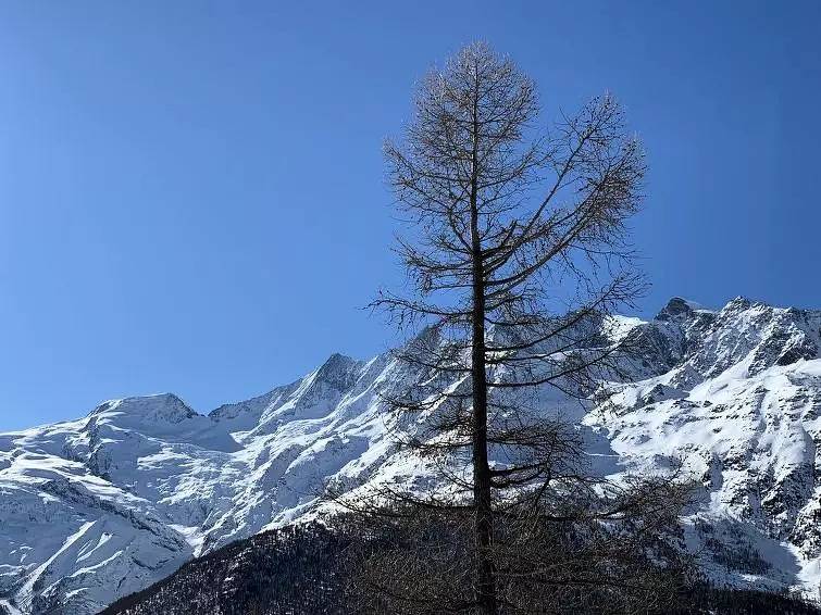 Ganze Wohnung, 3 Pièces 5 Personnes in Saas-Balen, Walliser Alpen