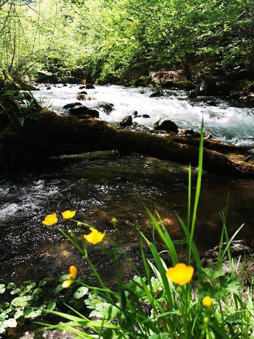 Gîte pour 8 personnes, avec jardin et vue à Ustou - 2