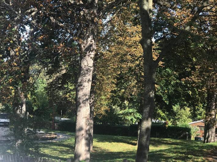 Ferienwohnung für 4 Personen, mit Terrasse und Garten sowie Ausblick in Bannewitz - 2