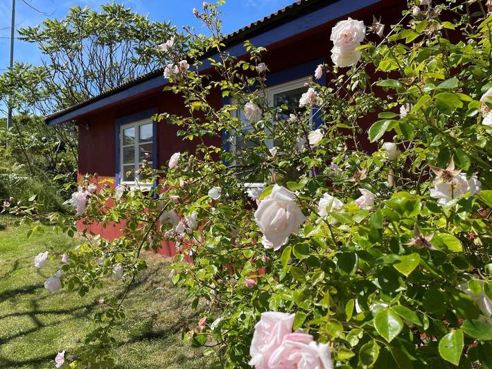 4 personer fritidhus i Skärhamn in Toftenäs, Norra Västkusten
