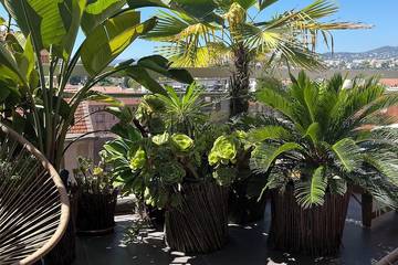 Gîte pour 2 personnes, avec balcon dans Bowling Acropolis Nice