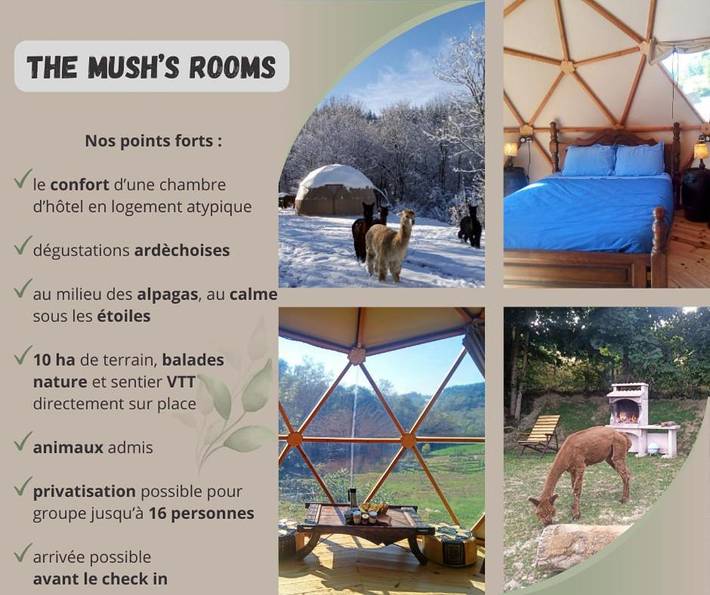 Gîte pour 6 personnes, avec terrasse ainsi que vue et jardin dans Belsentes