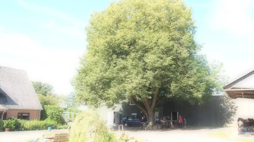 Ferienhaus für 5 Personen, mit Terrasse und Sauna sowie Garten in Naturpark Westensee - 2