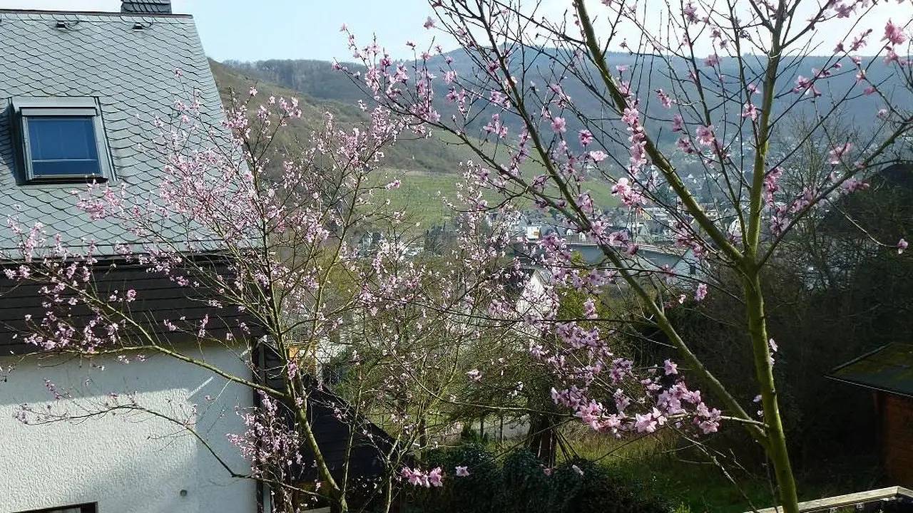 Ganze Ferienwohnung, Ferienwohnung für 2 Personen (50 m²) in Treis-Karden in Burg Eltz, Treis-Karden