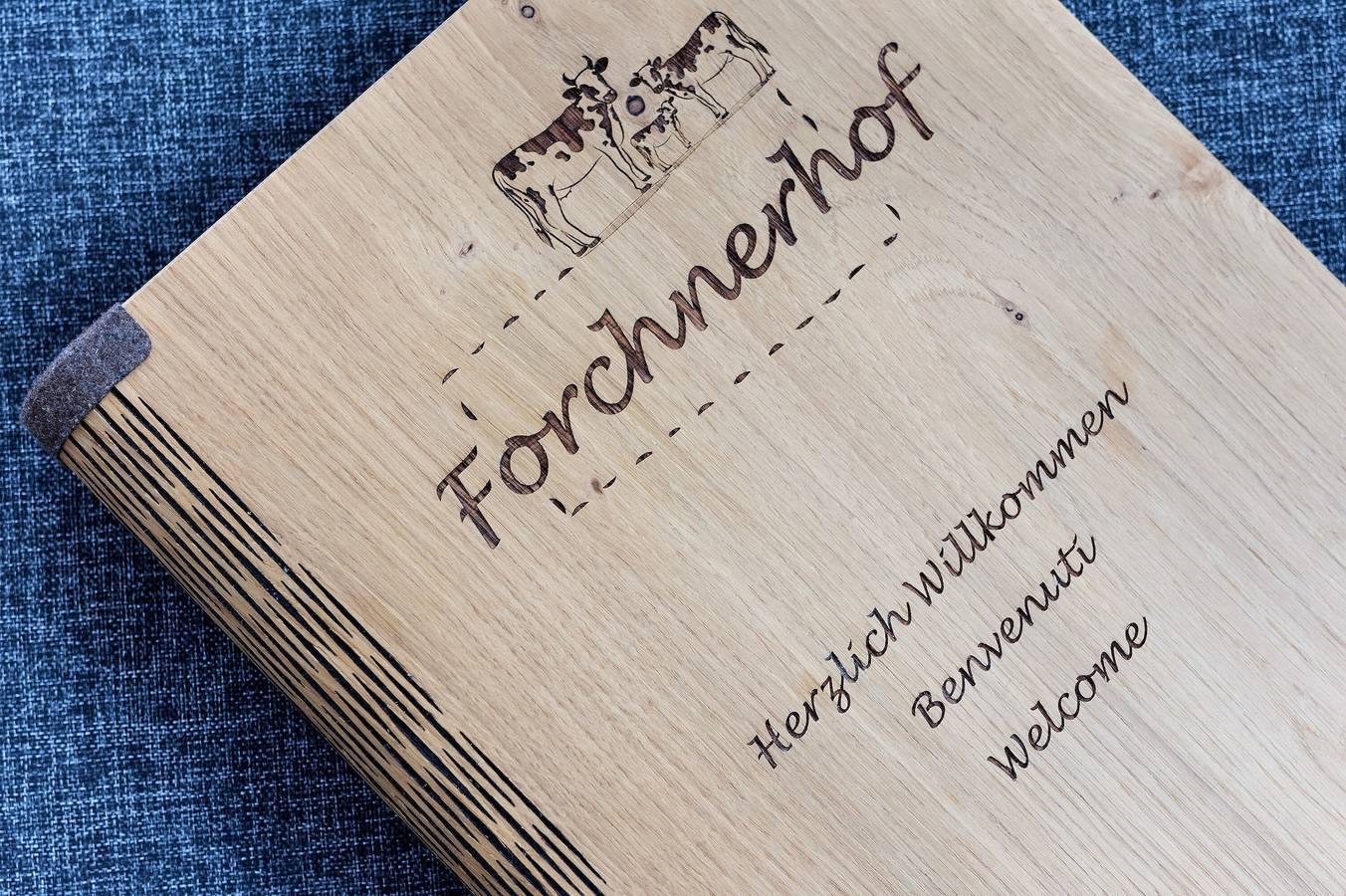 Ganze Wohnung, Ferienwohnung "Forchnerhof Ploseblick" mit Gemeinschaftsgarten und Wlan in Meransen, Mühlbach