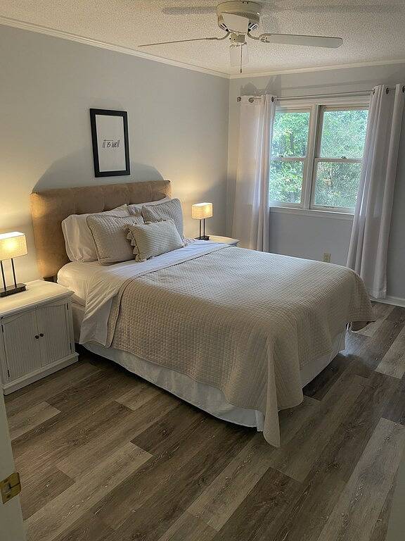 The Pink House!! in Auburn (AL), Alabama