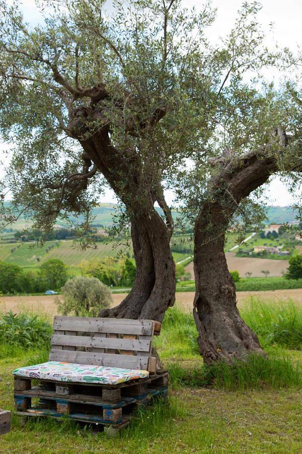 Double Room with Extra Bed in Cupramontana, Provincia di Ancona