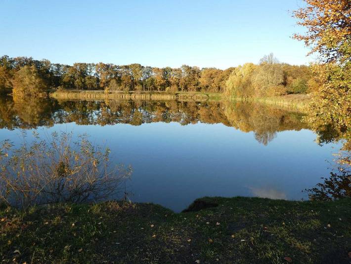 Ferienwohnung für 8 Personen, mit Garten, kinderfreundlich in Leer - 4
