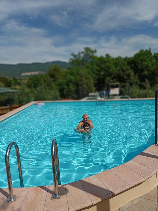 Appartamento vacanze per 2 persone, con giardino e piscina, con animali domestici - 1