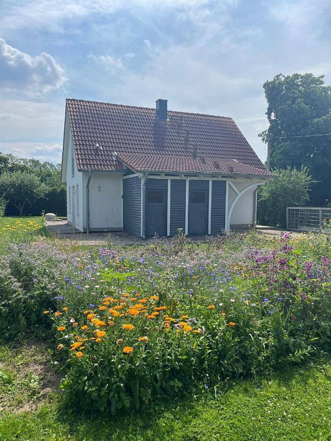 Ganze Wohnung, Ferienhaus Muschel in Warnkenhagen, Kalkhorst