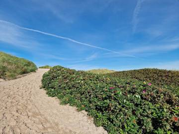 Ferieudlejning til 6 Personer i Nørre Lyngvig, Hvide Sande, Billede 3