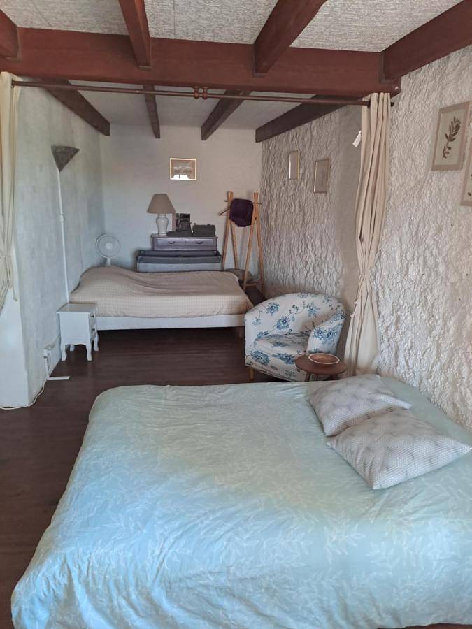 Gîte pour 4 personnes, avec jardin, animaux acceptés à Puisserguier - 3