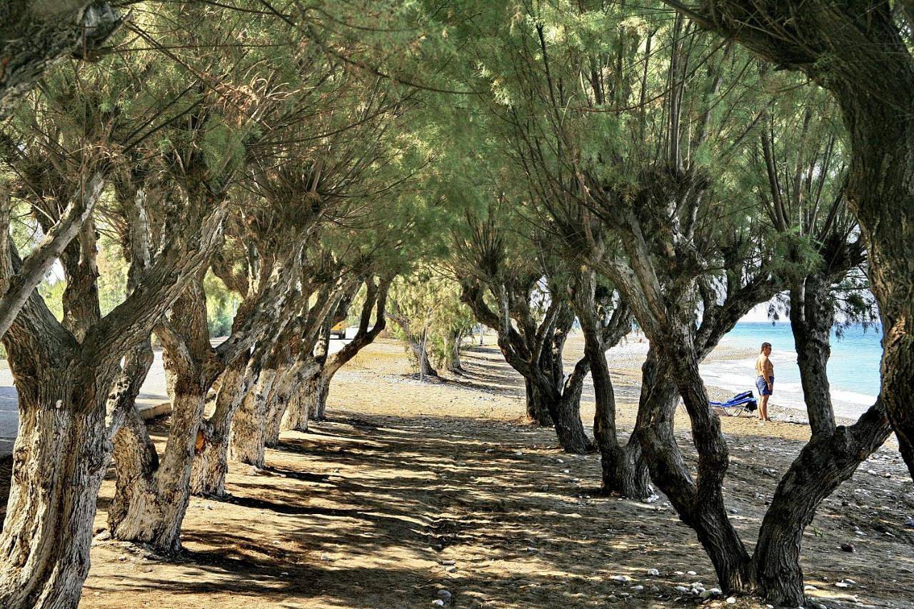 All Senses Ocean Blue Sea Side Resort & Spa By Anayia All Inclusive Resorts in Rhodos