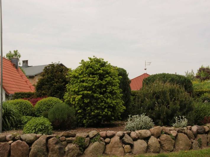 Ferienhaus für 5 Personen, mit Garten in Mecklenburgische Schweiz - 4