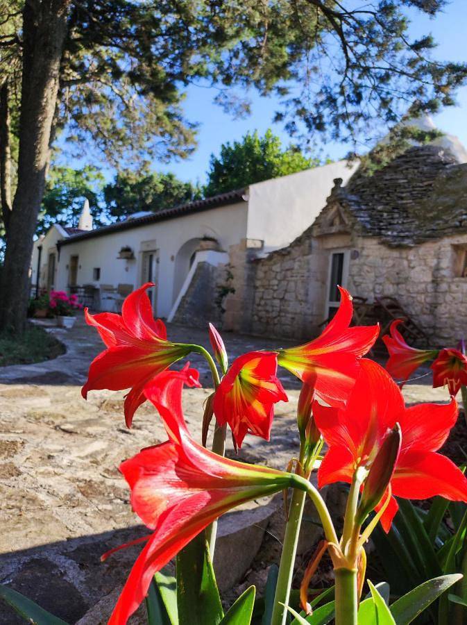 Double Room with Private Bathroom in Gioia del Colle, Provincia di Bari