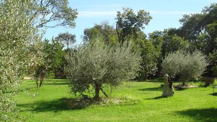Maison De Vacances pour 2 Personnes dans Poggio-Mezzana, Haute-Corse, Photo 3
