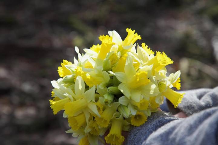 Location de vacances pour 8 personnes, avec vue et jardin à Daverdisse - 4
