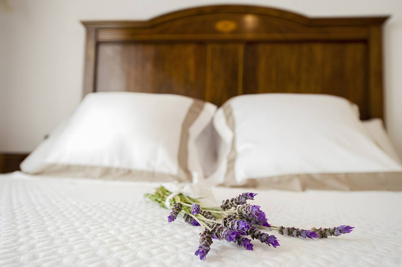 Bed and Breakfast 'Camagroc' with Mountain View, Wi-Fi and Air Conditioning in Castellví de la Marca, Barcelona Inland