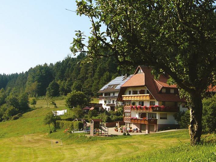 Appartement entier, Appartement 'Schlössle, 22 m²' avec terrasse commune, jardin commun et Wi-Fi in Elzach, Forêt-Noire centrale