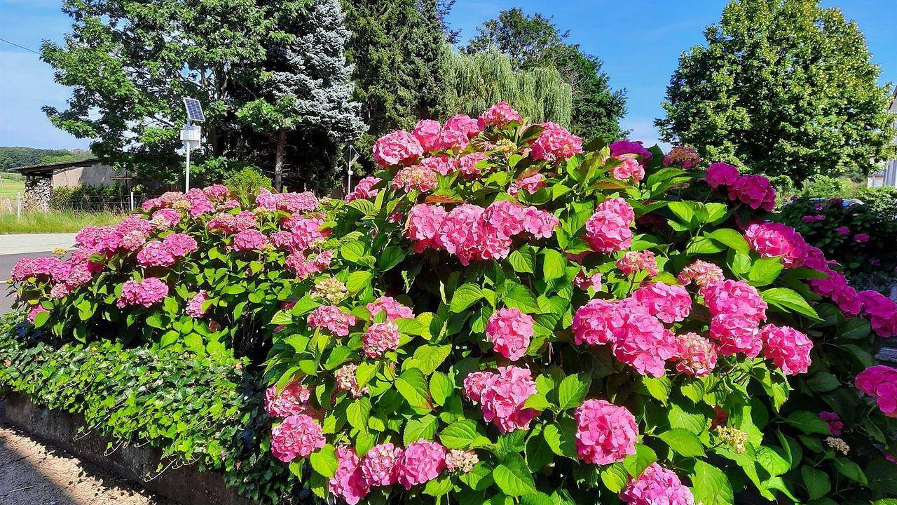Ganze Ferienwohnung, Ferienwohnung für 4 Personen (140 m²) in Perl in Perl, Saar-Nahe-Bergland