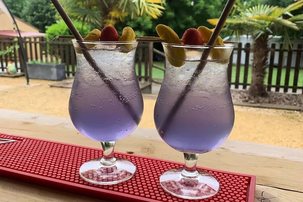 Camping les Poutiroux **** - Mobilhome 3 Chambres avec terrasse couverte 6 personnes in Limeuil, Périgord Pourpre