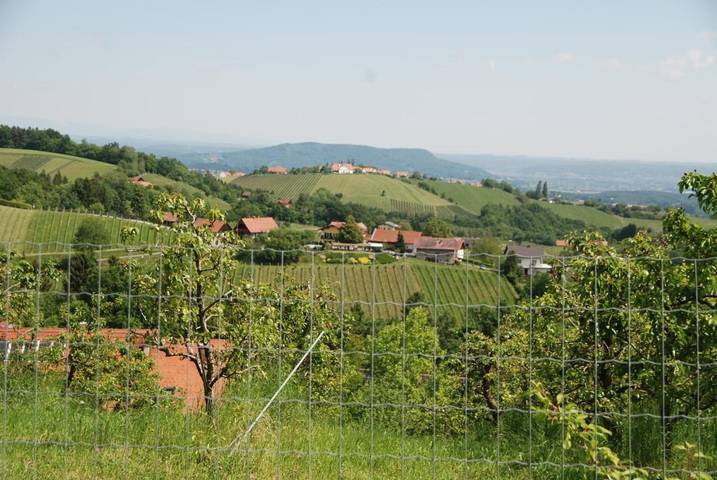 Bungalow für 5 Personen, mit Pool und Whirlpool sowie Garten und Sauna, mit Haustier in der Steiermark - 4