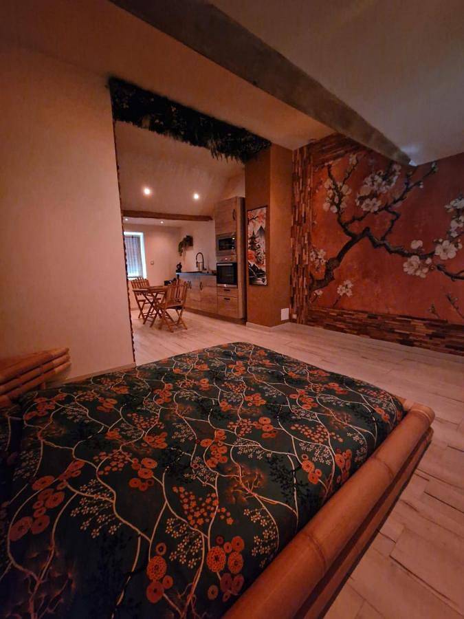 Location de vacances pour 2 personnes, avec piscine et jacuzzi à Calais - 3