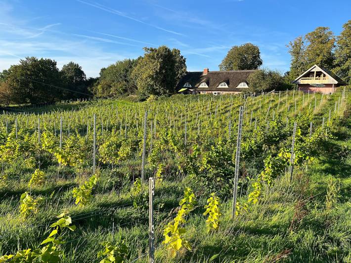 Ferienwohnung für 2 Personen, mit Seeblick und Pool sowie Garten in Wittensee - 2