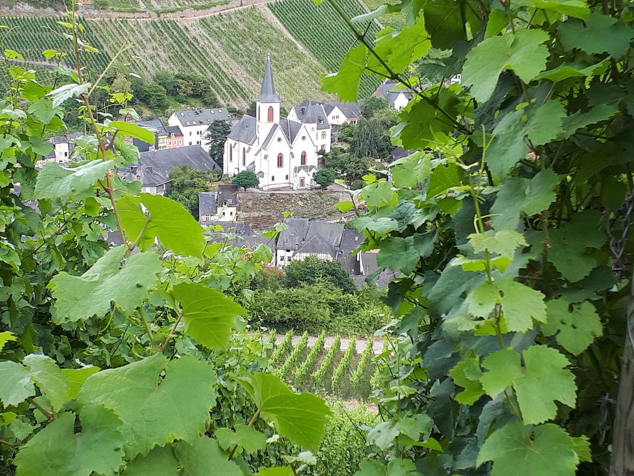 Altes Winzerhaus in Traben-Trarbach, Bernkastel-Kues & Umgebung