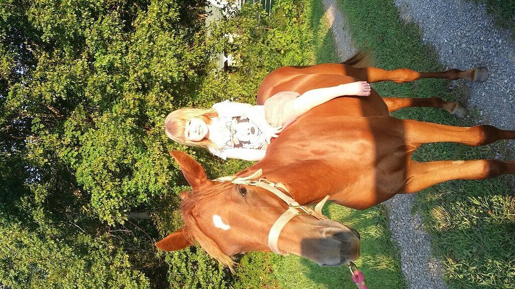 T-Lea Farm Ihre 73 Acre Horse Farm Vaction Retreat in Ost-Tennessee in Monroe County (TN)