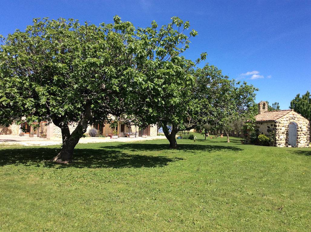 Chambres d'hôtes le Mas des Figuiers - Chambre Bonheur in Donzère, Région de nyons